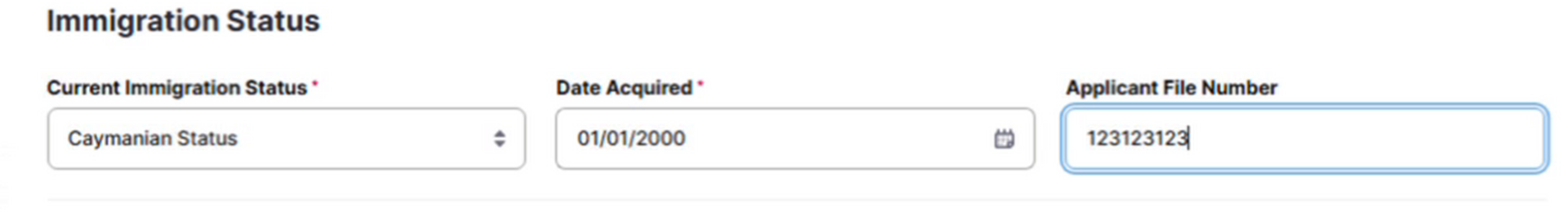 08_Immigration_Status.png