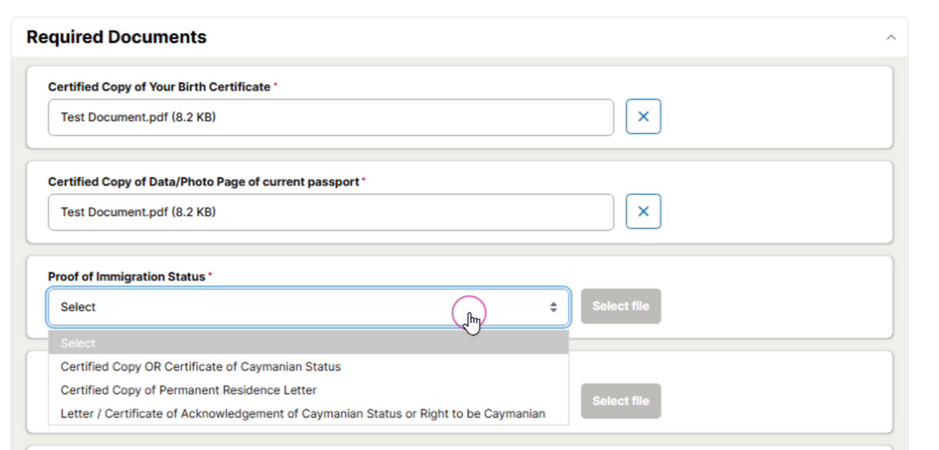 23_Proof_of_Immigration_Status_options.png