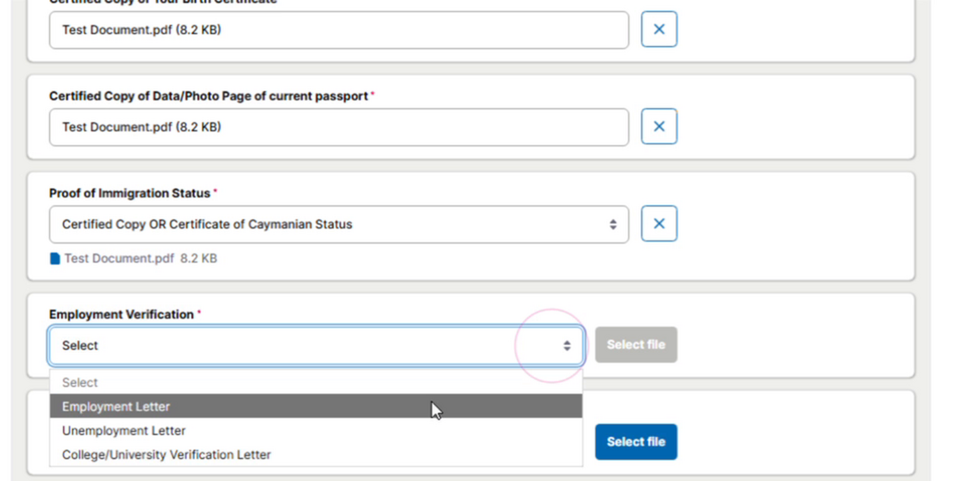 24_Employment_Verification_options.png