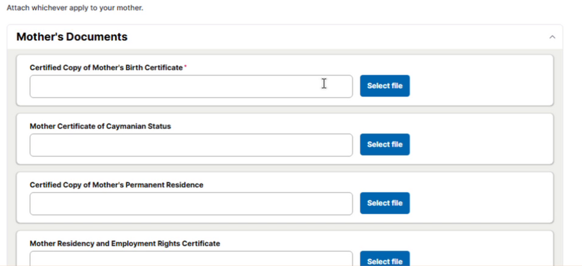 25a_Mothers_Documents.png