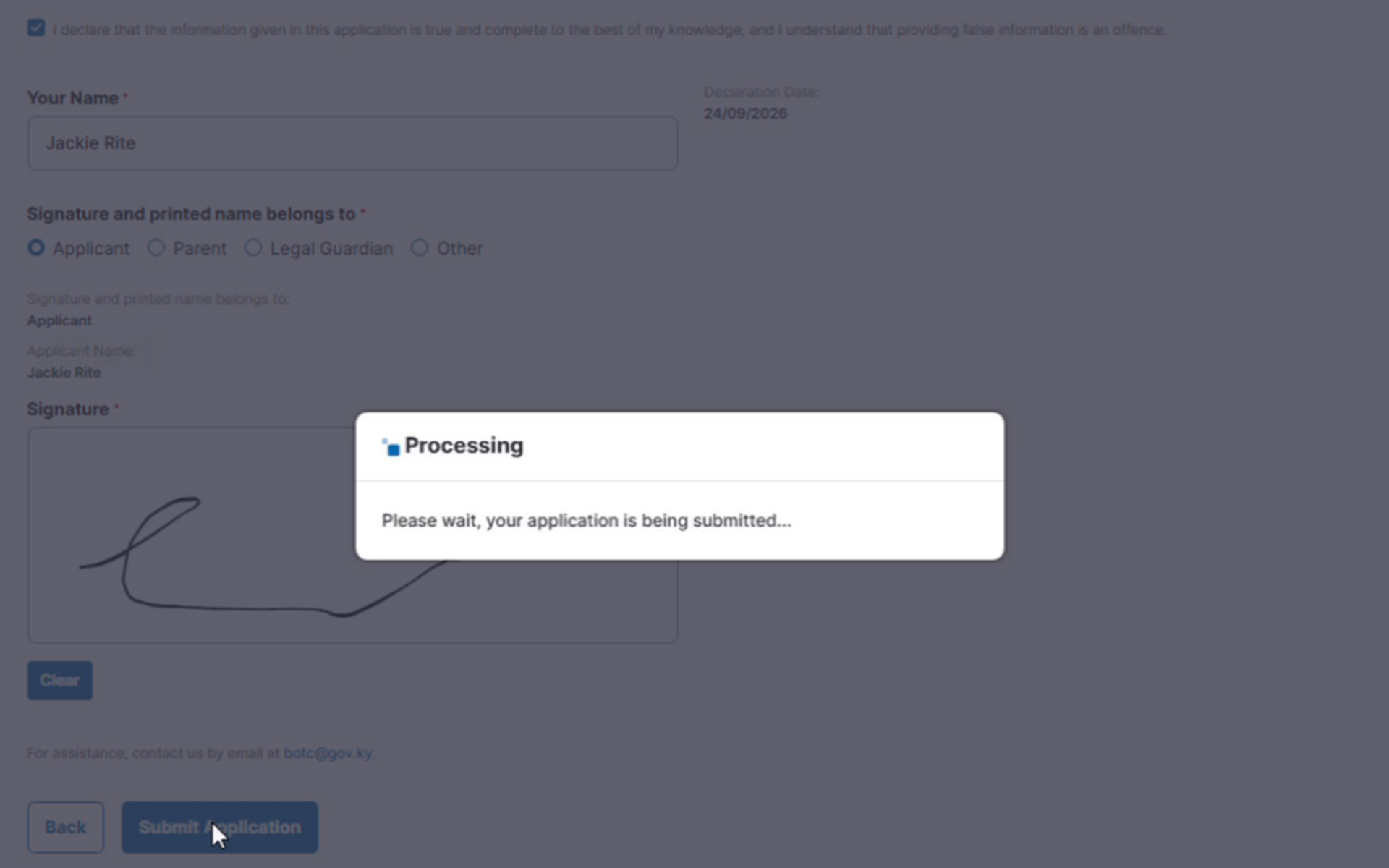 34_Processing_message.png
