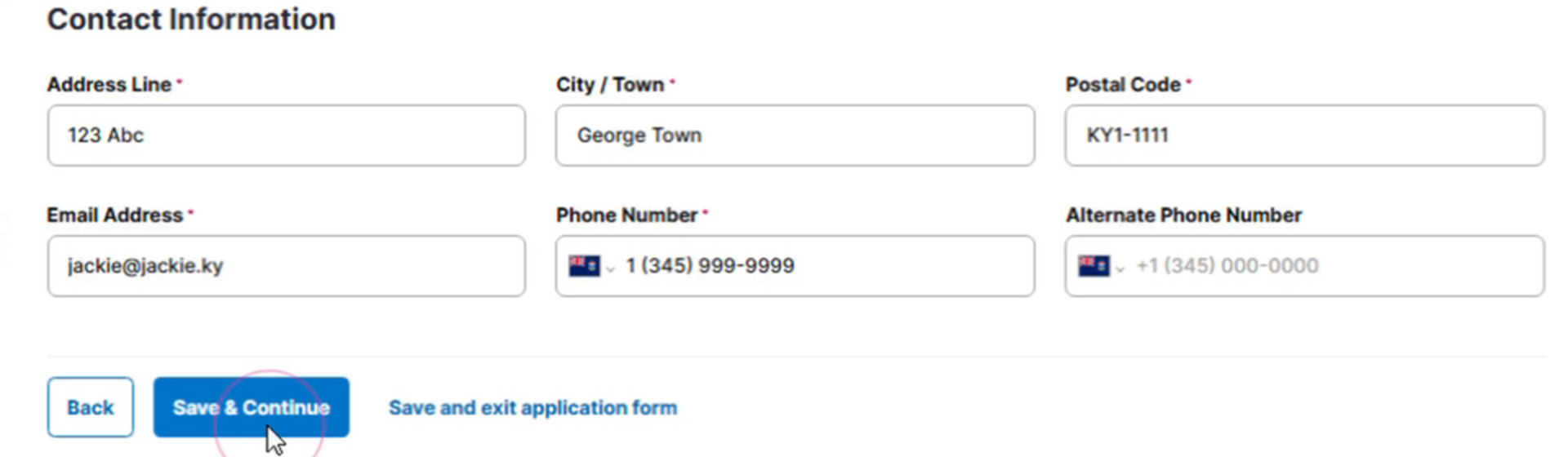 12_Contact_Information_Save_and_Continue.png