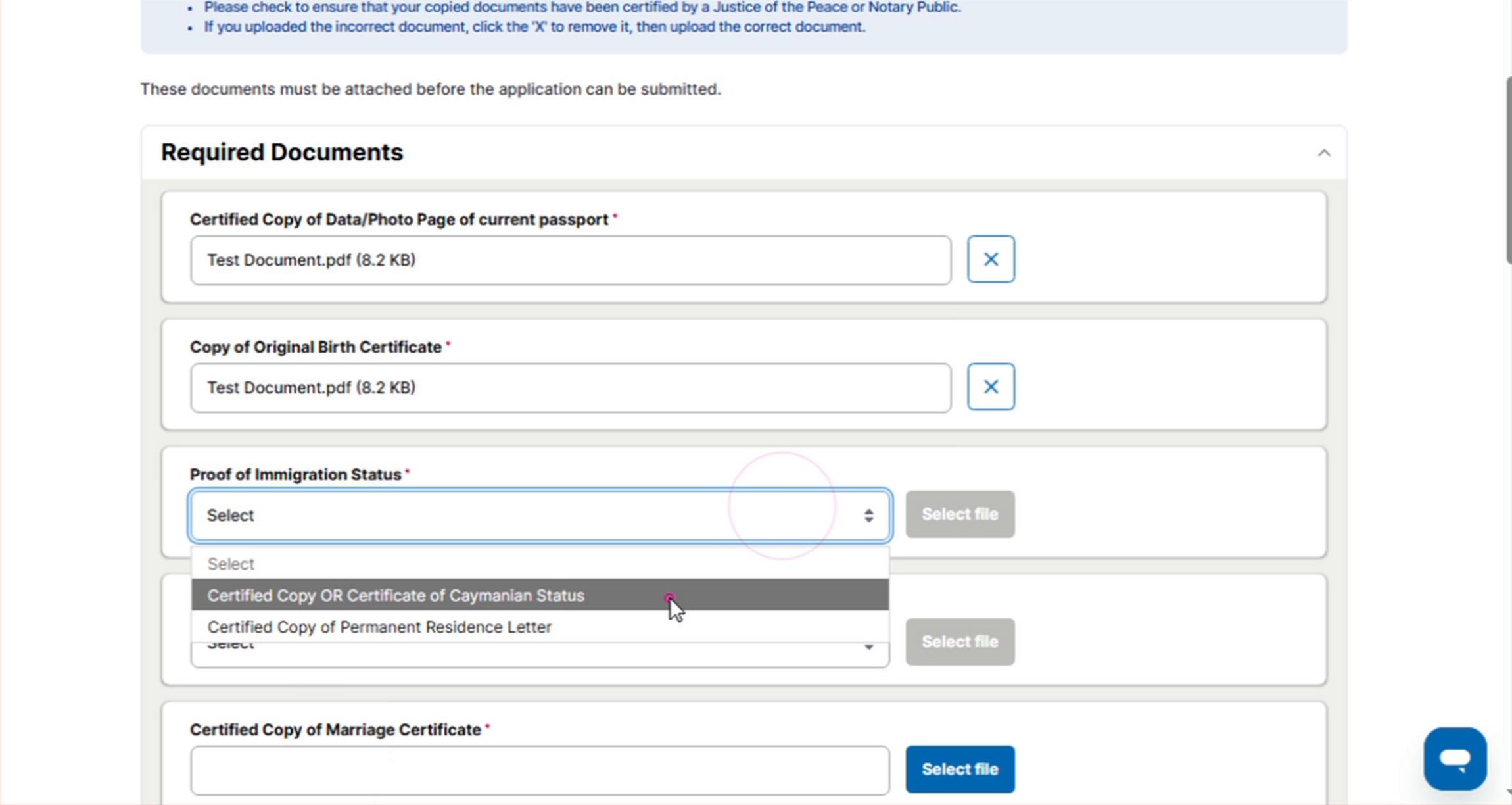 20_Documents_Proof-of-Immigration-Status-dropdown.png