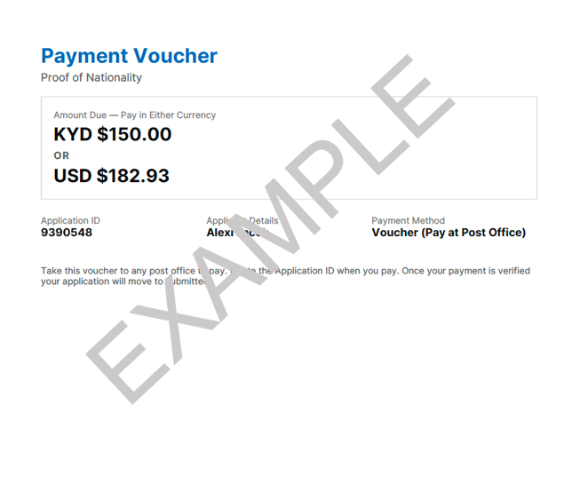 29_Payment-Voucher_EXAMPLE.png