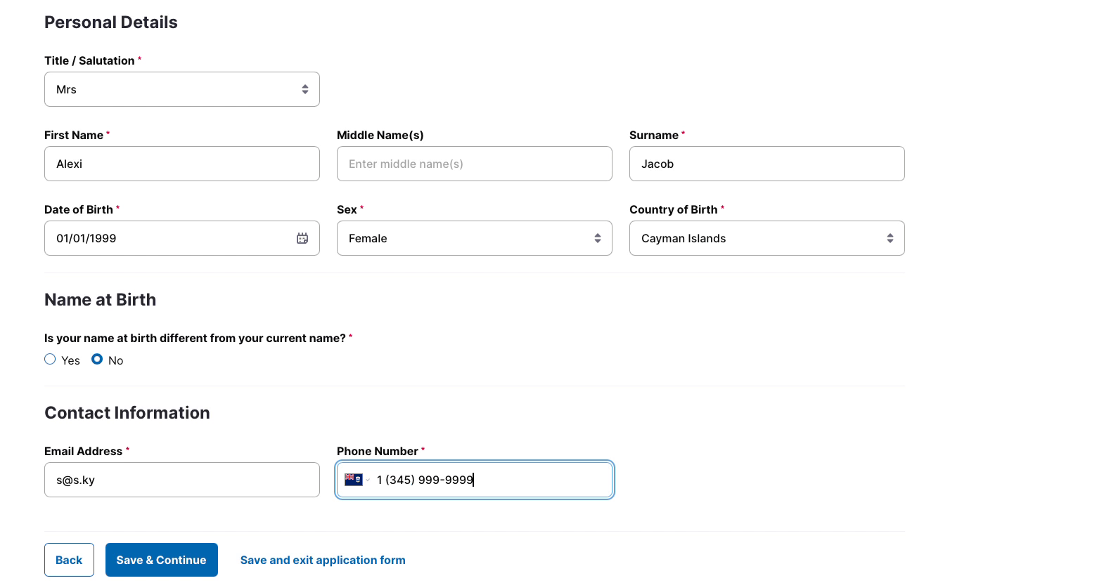 11 - Step 8c - Applicant Details completed.png